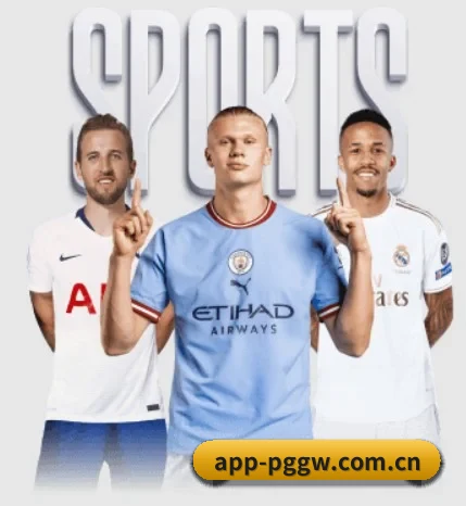 pg官网的故事